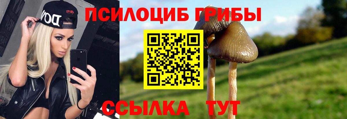Псилоцибиновые грибы MAGIC MUSHROOMS Лянтор
